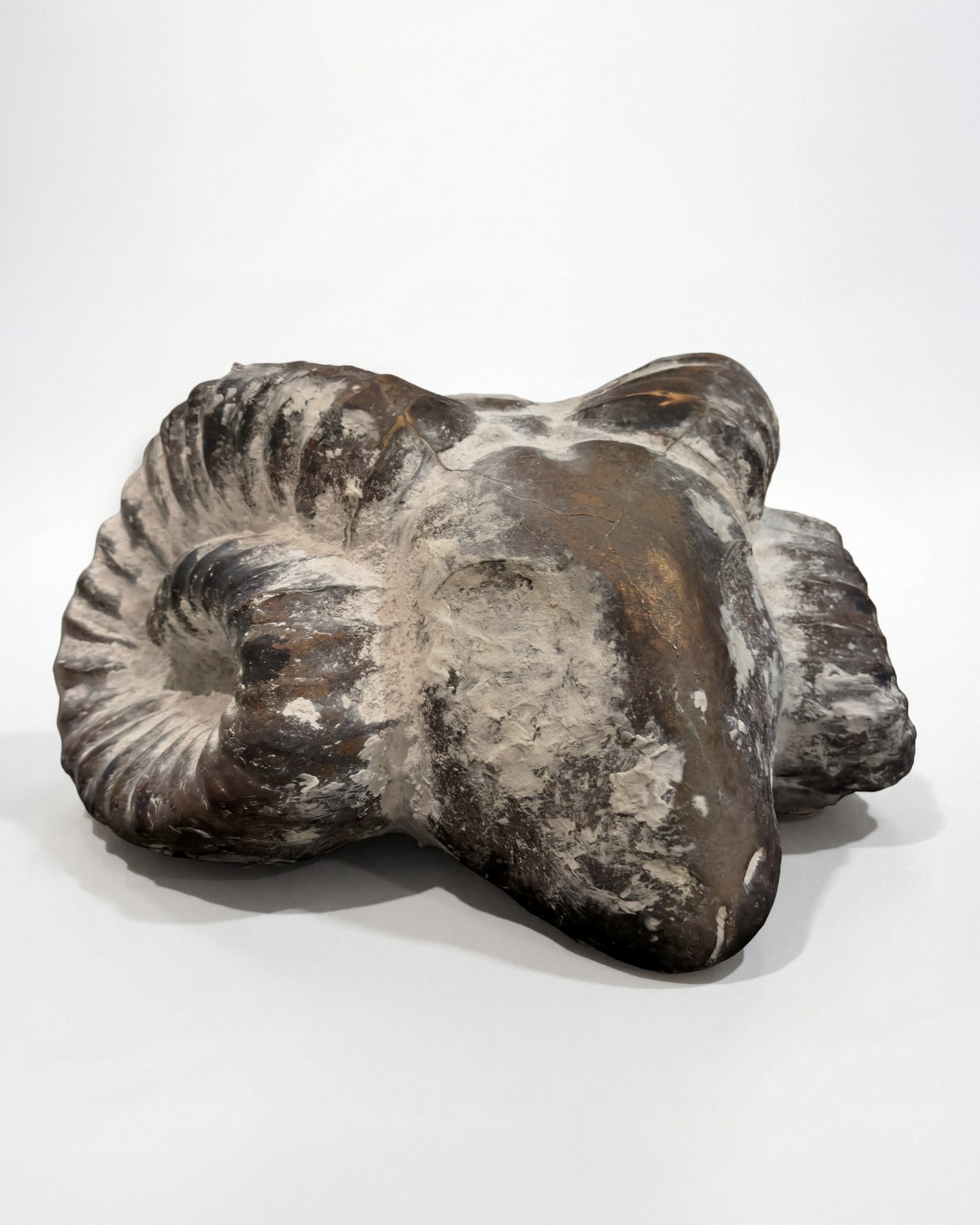 Ram, by Anne van Borselen