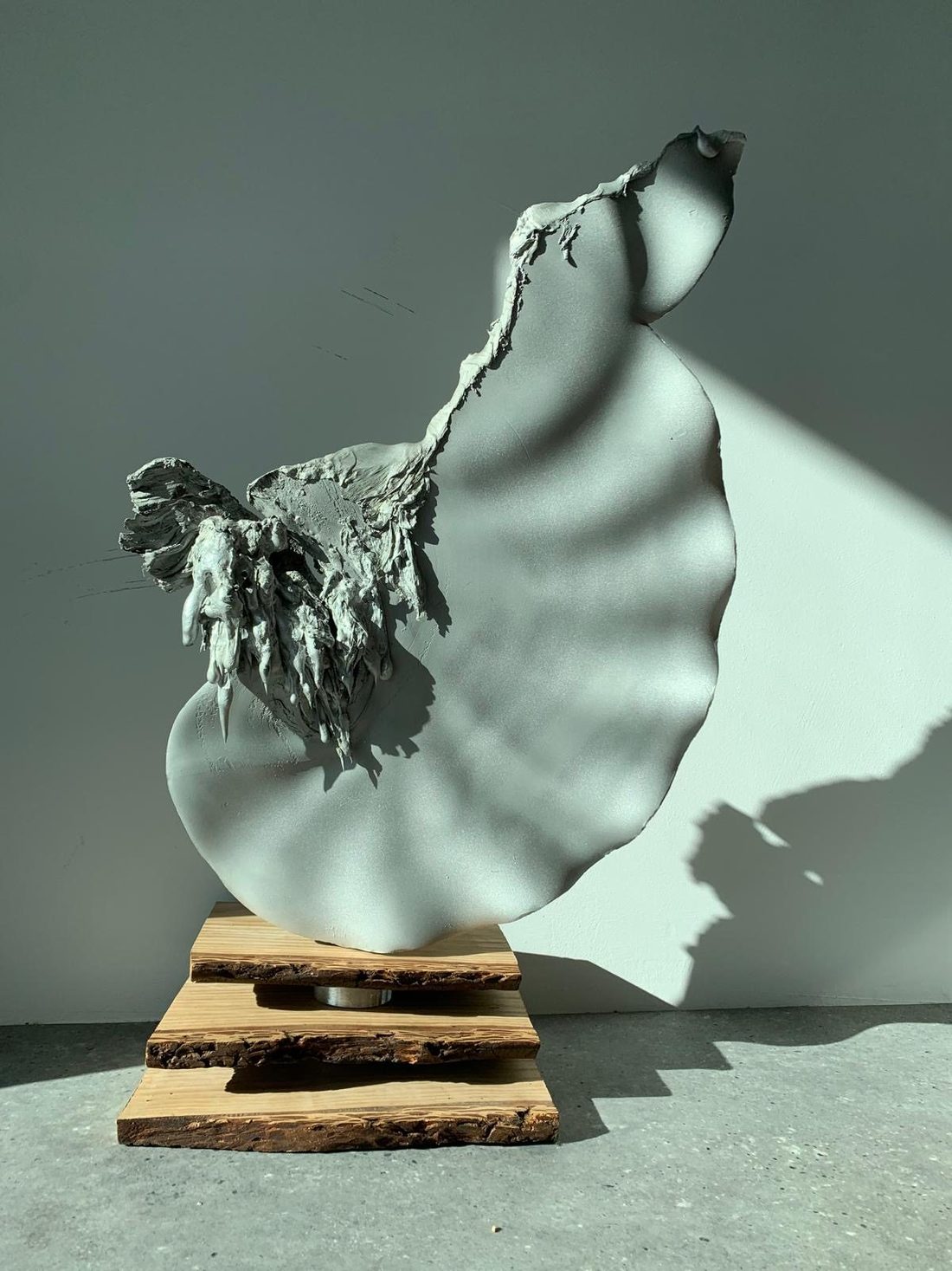 Spectral Form, by Frederik Wasseur