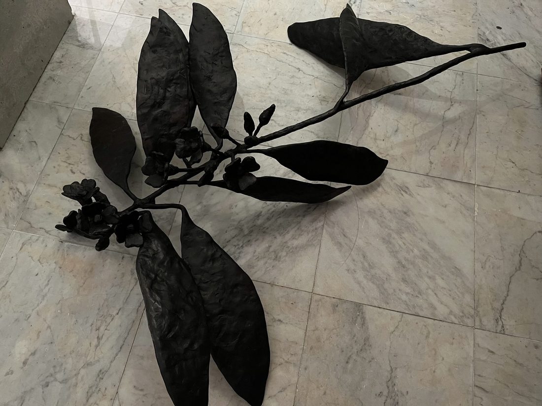 Euphorbia #02, by Herma de Wit